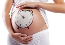 расчет срока беременности