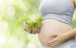 рецепты салатов для кормящих мам