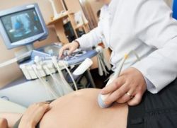 скрининги во время беременности