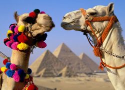 Что нельзя вывозить из Египта