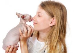 Домашние животные, не вызывающие аллергии