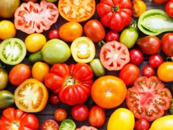 самые вкусные и урожайные томаты