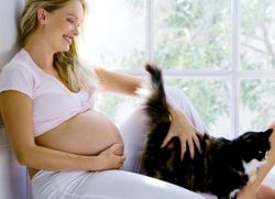 Токсоплазмоз у беременных