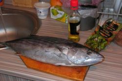 тунец в духовке рецепты