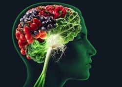 витамины для мозга и памяти