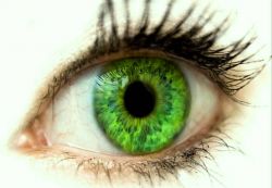 зеленый цвет глаз значение