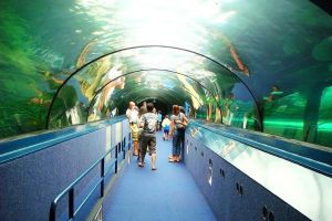 Подводный туннель