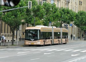 Основной вид общественного транспорта — автобусы