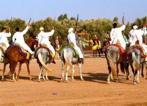 Фестиваль лошадей в Марокко