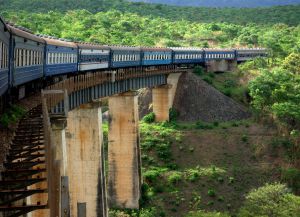 Поезда в Танзании
