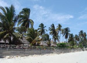 Пляжи Багамойо