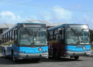 Голубые автобусы - государственные