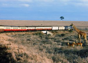 Поезда в Кении