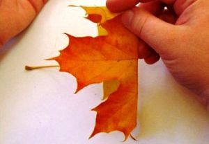 Осенний букет своими руками для детского сада 5