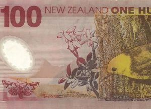 Сто новозеландских долларов