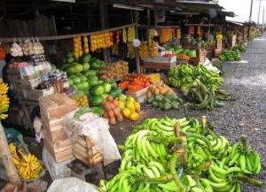 Кухня Эквадора - фрукты