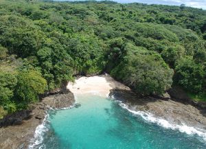 Остров Сабога утопает в зелени
