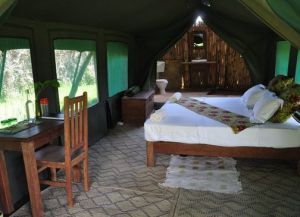 Hondo Hondo Udzungwa Forest Tented Camp