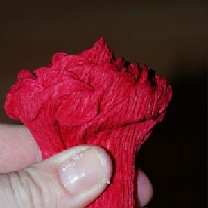 Розы из гофрированной бумаги12