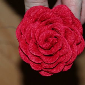 Розы из гофрированной бумаги15