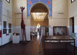 Один из залов в музее