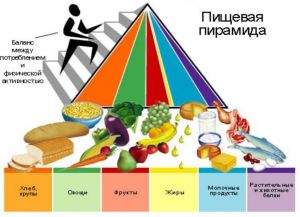 пирамида здорового питания для детей