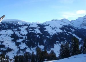 Альпы - горнолыжные курорты3