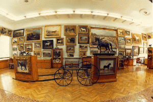 Бесплатные музеи Москвы4