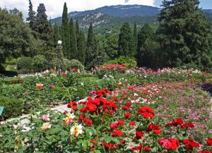 Ботанический сад в Крыму12