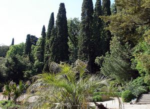 Ботанический сад в Крыму23