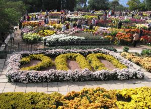 Ботанический сад в Крыму4