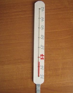 Термометр из картона своими руками7