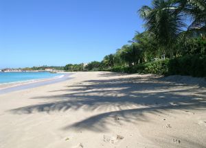 Пляж Хейвудс, Барбадос