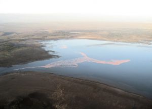 Так выглядит озеро Эльментейта с высоты птичьего полета