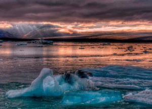Ёкюльсаурлоун - ледяная лагуна с айсбергами