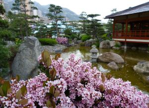 Японский сад весною