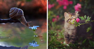 Похоже, эти животные любят нюхать цветы больше, чем вы!