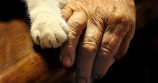 Бабушка и кошка – самые трогательные лучшие друзья