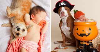 24 невозможно очаровательных фото новорожденных с собаками