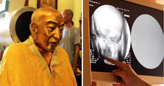 Сенсация! У 1000-летней мумии монаха оказались неповреждёнными кости и мозг! 