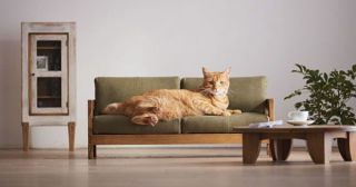 Ваша кошка будет счастлива: миниатюрная мебель для домашних любимцев