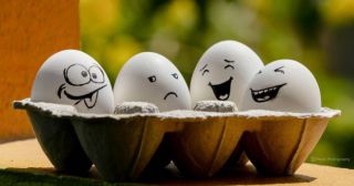 25 удивительных фактов о яйцах 