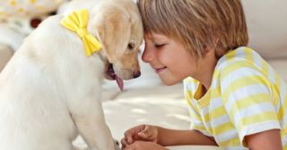 19 вещей, понятных тем, кто любит собак больше детей