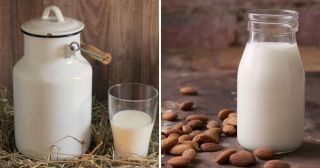 4 веских аргумента против употребления молока