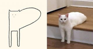 Художник создаёт самые точные рисунки котов, и Сеть от них в умилении