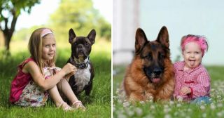 10 лучших пород собак для детей
