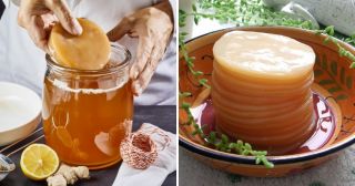 5 полезных свойств чайного гриба