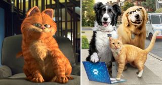 5 фантастических фильмов и мультфильмов, которые заставят полюбить кошек