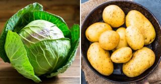 6 необычных свойств привычных овощей