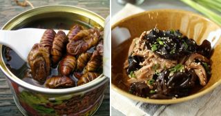 5 необычных блюд, которые стоит попробовать в Китае